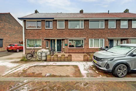 undefined main image