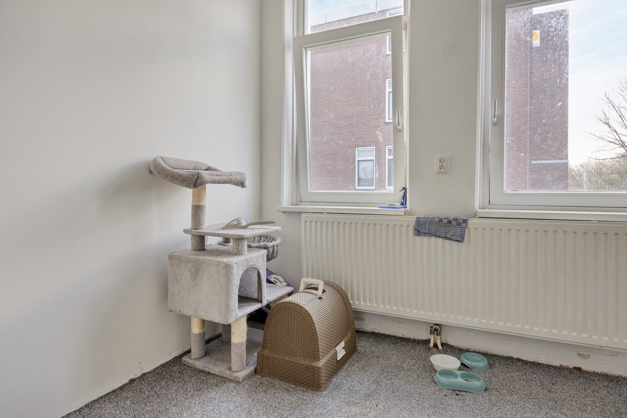 Foto 21 van Titus Brandsmahove 32