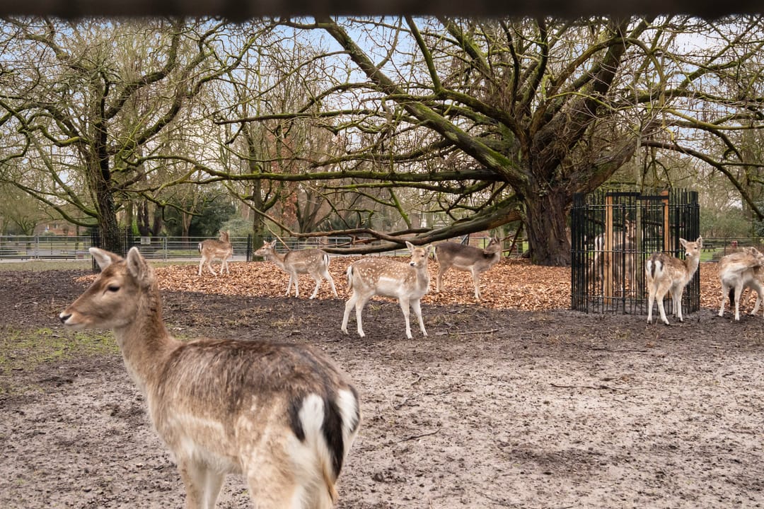 Photo 46 of Gevaertsweg 4