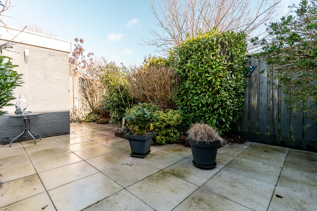 Foto 32 van Botter 19 3