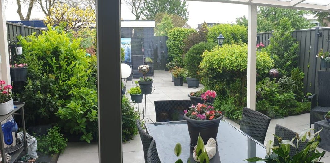 Foto 35 van Botter 19 3