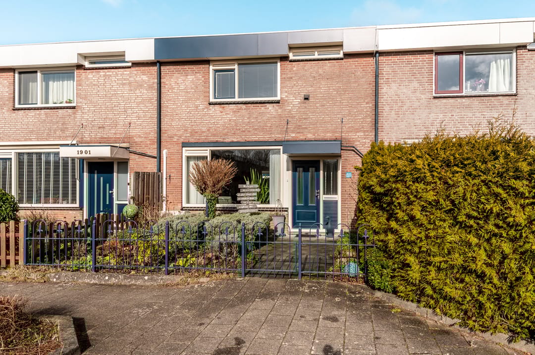 Foto 38 van Botter 19 3