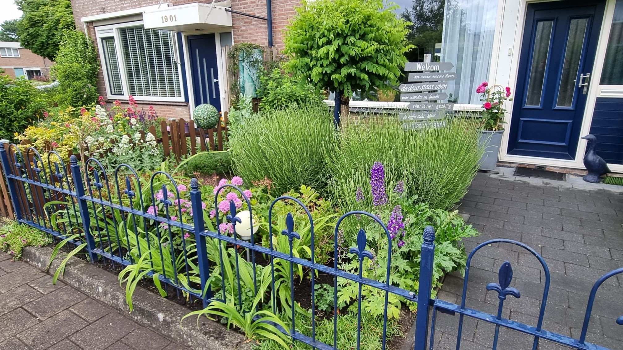 Foto 39 van Botter 19 3