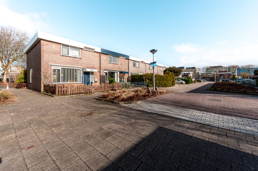 Foto 41 van Botter 19 3