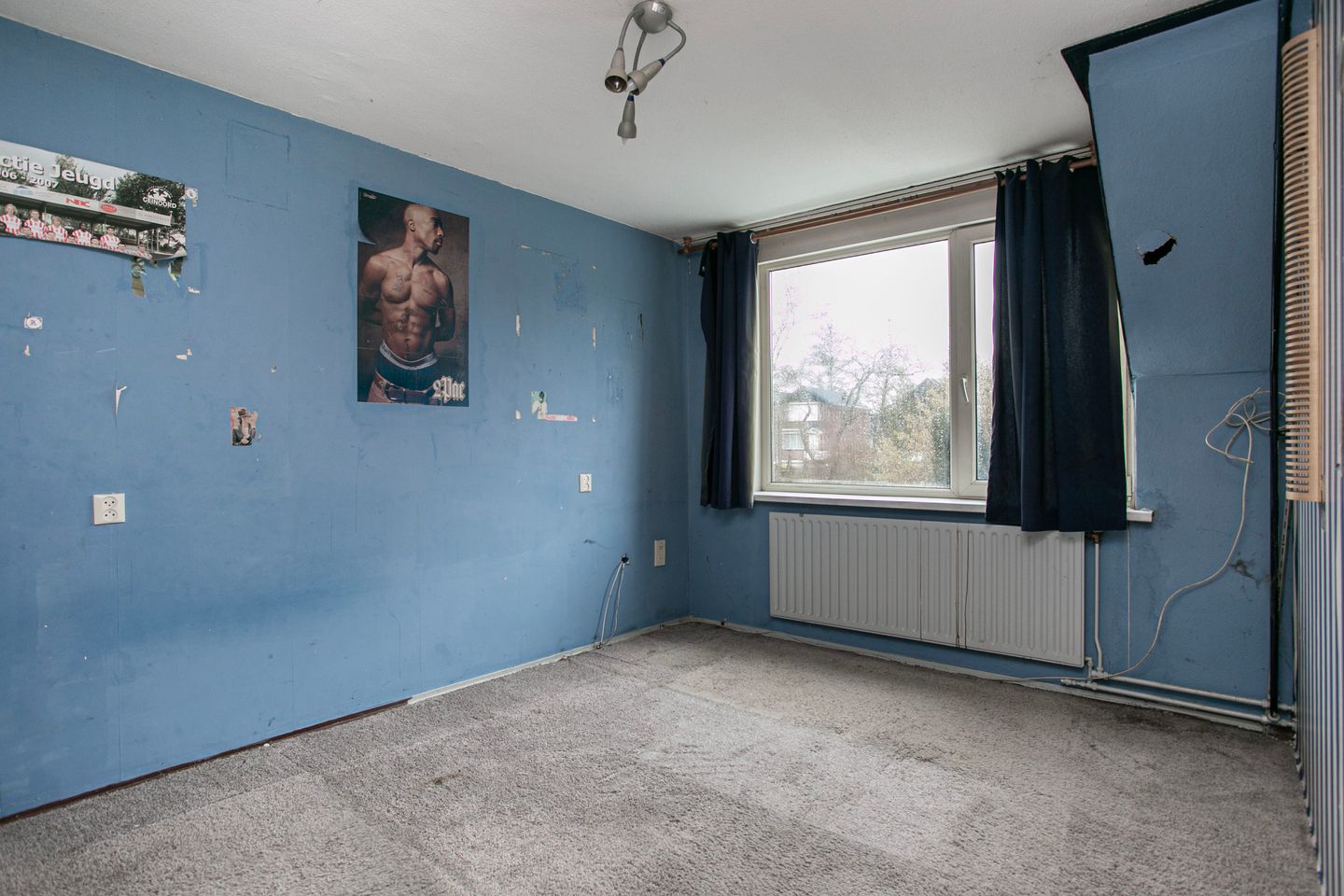 Photo 20 of Bosruiter 13