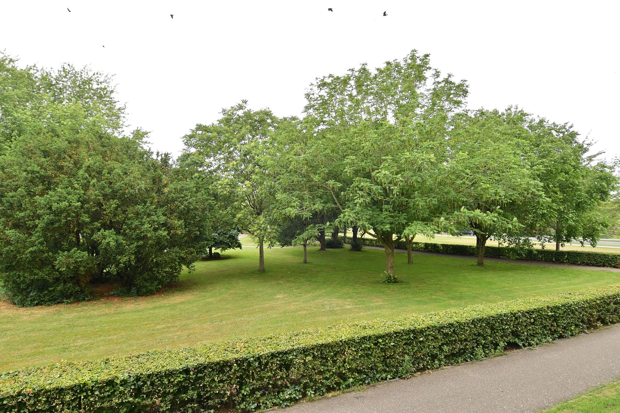 Photo 6 of Korte Heul 113