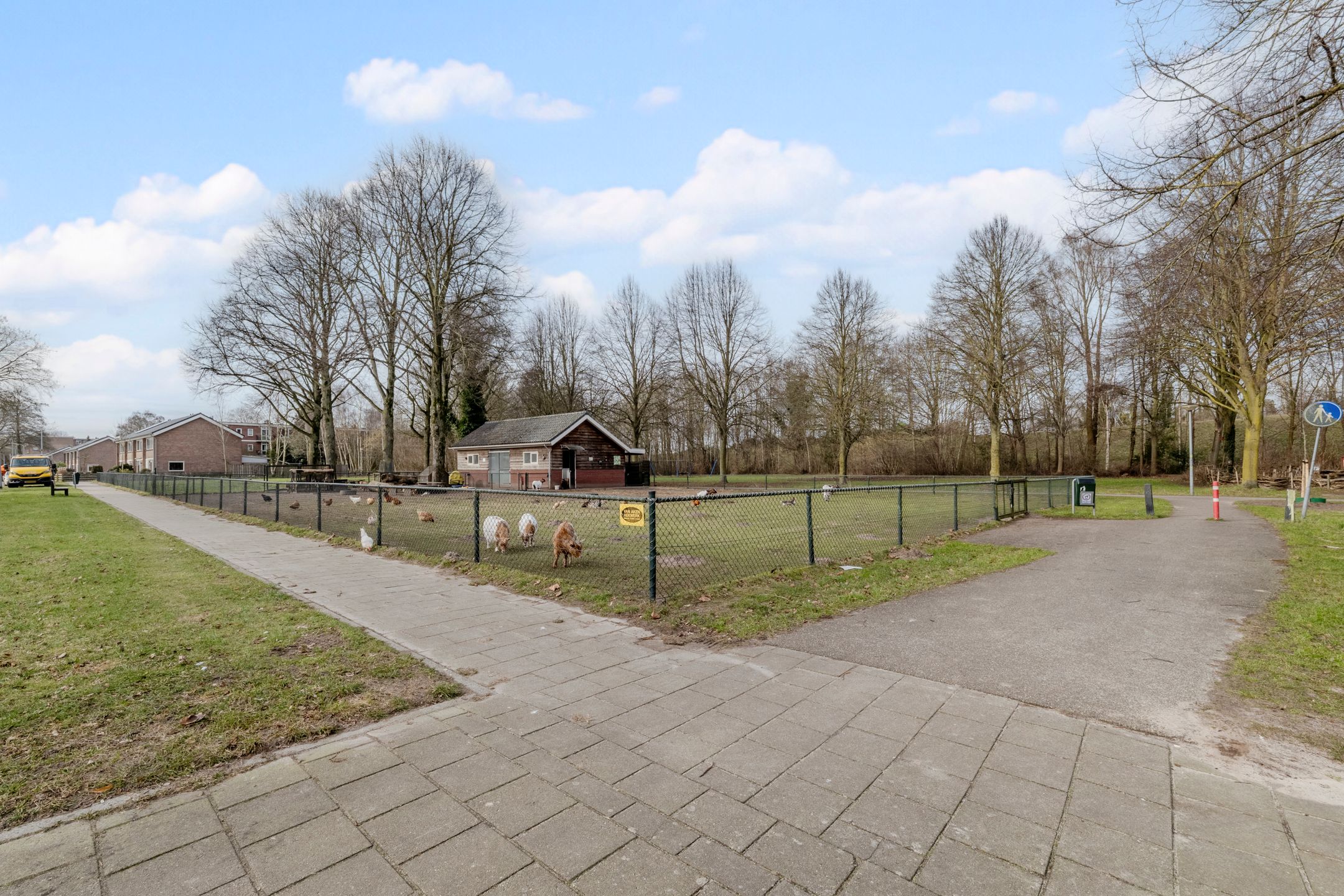 Foto 39 van Treubstraat 24