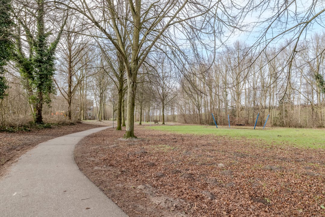 Foto 41 van Treubstraat 24