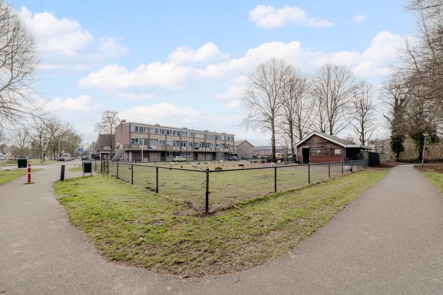 Foto 40 van Treubstraat 24