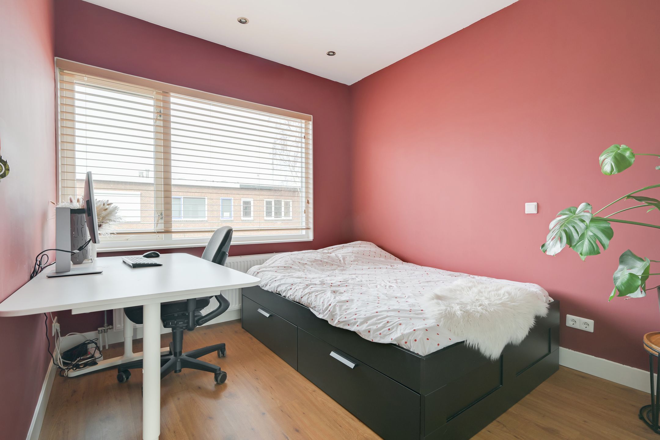 Photo 48 of Kanariestraat 6