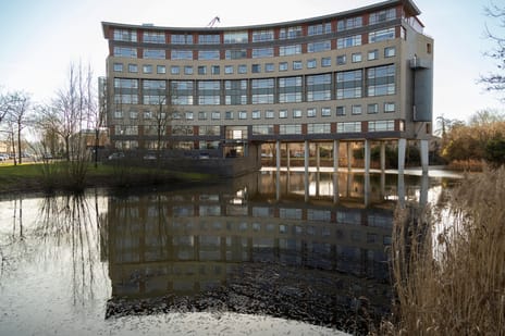 Argusvlinder thumbnail