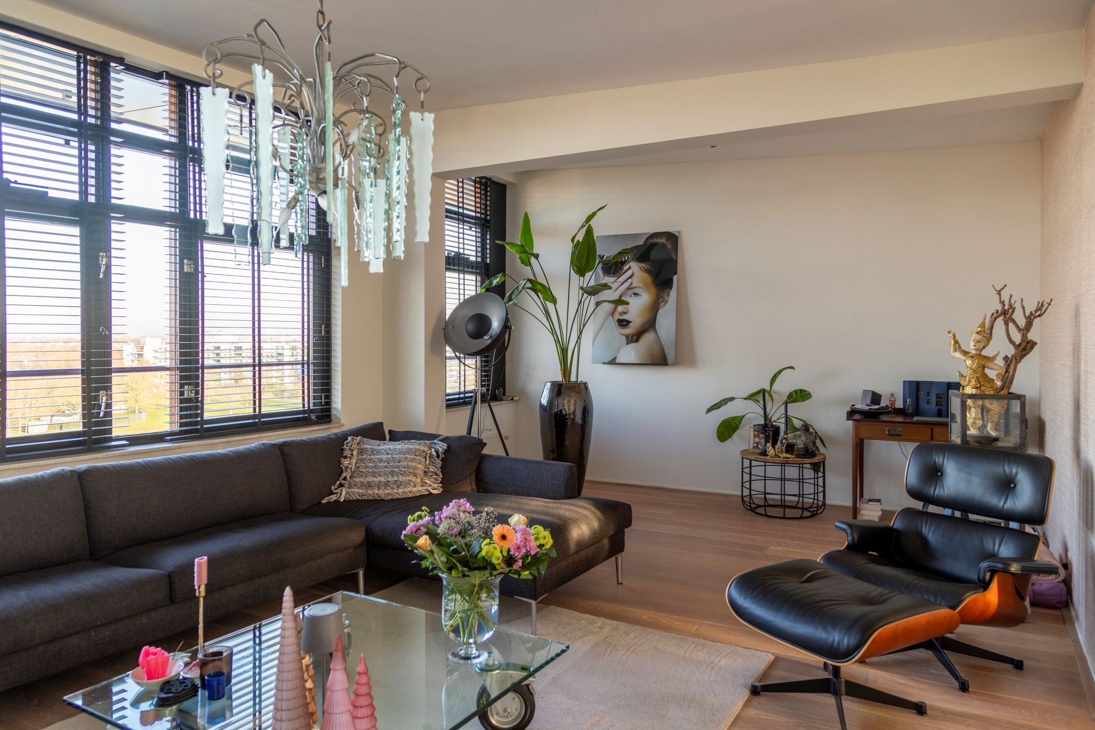 Photo 9 of Argusvlinder 123