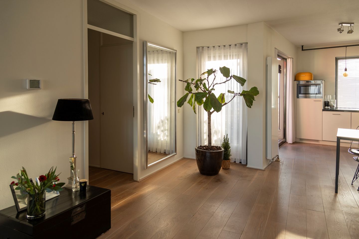 Photo 10 of Argusvlinder 123