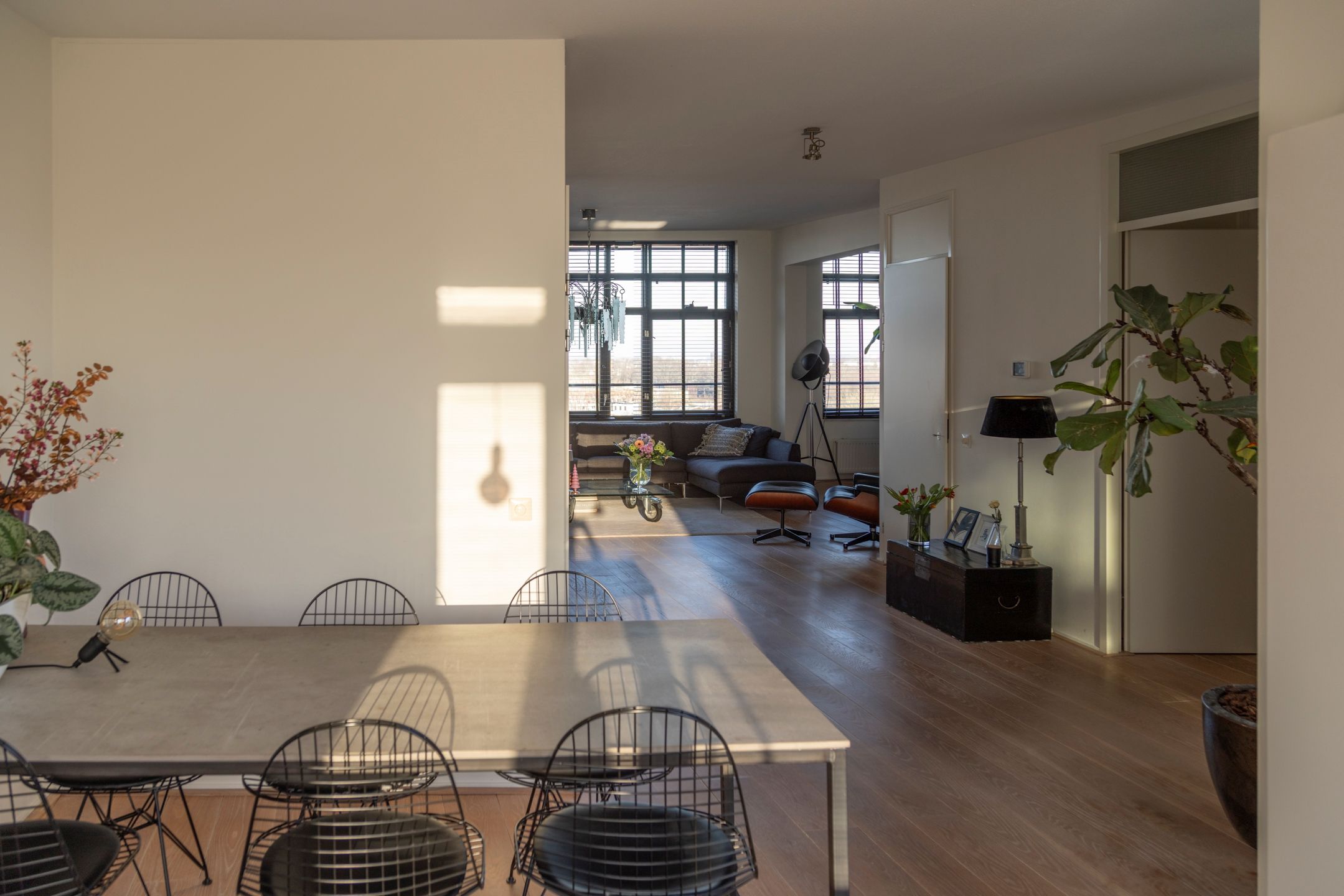 Photo 12 of Argusvlinder 123