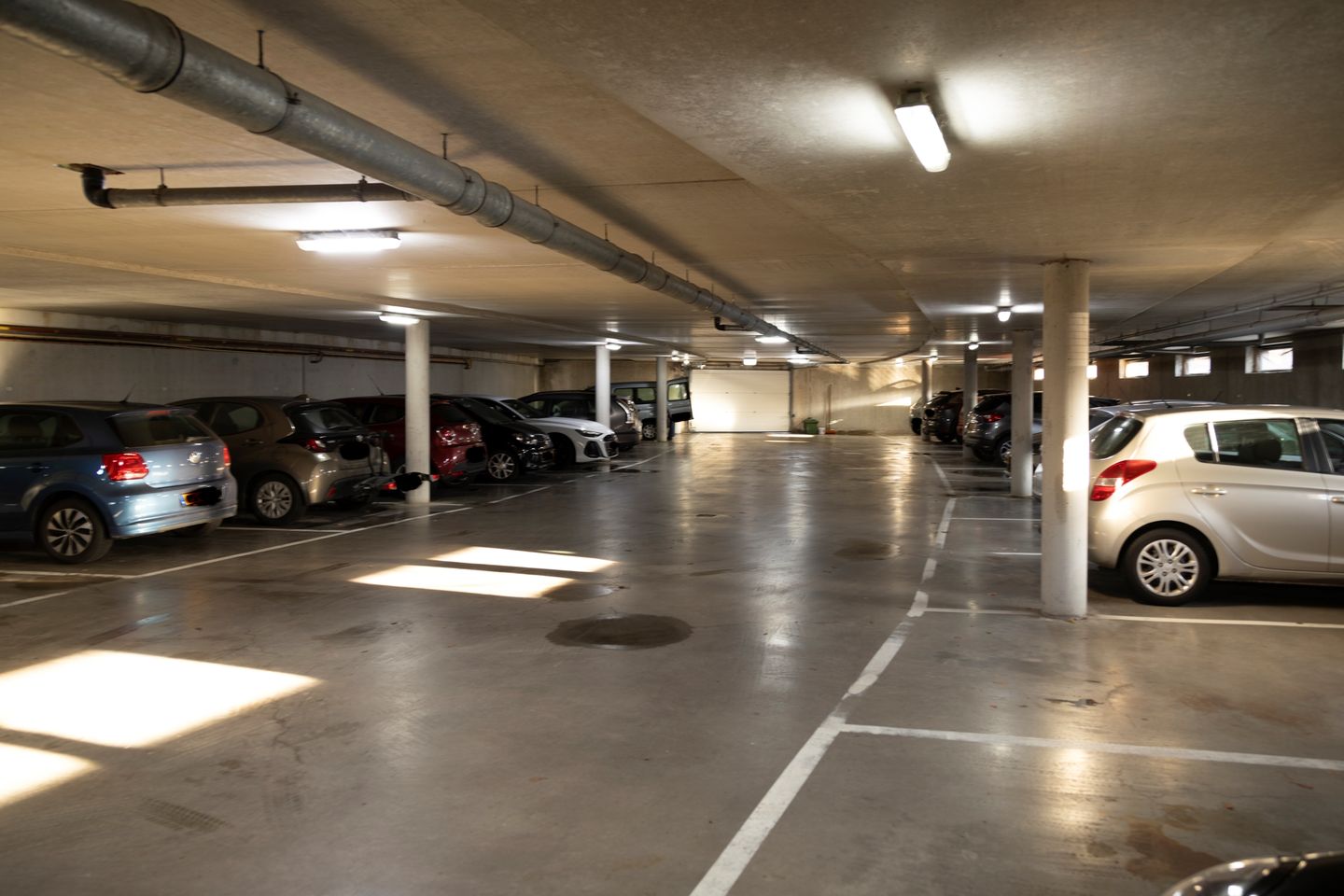 Photo 29 of Argusvlinder 123