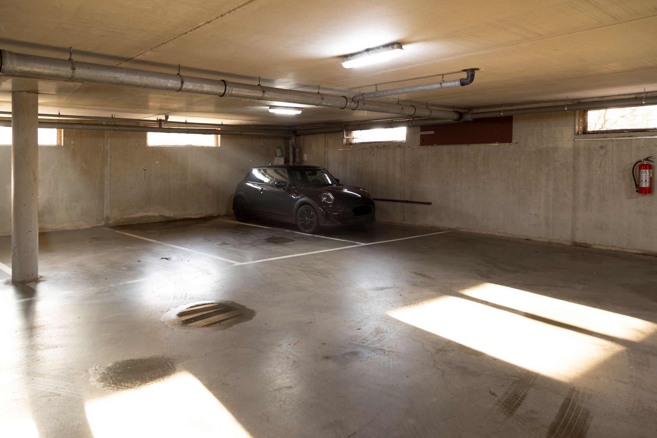 Photo 30 of Argusvlinder 123