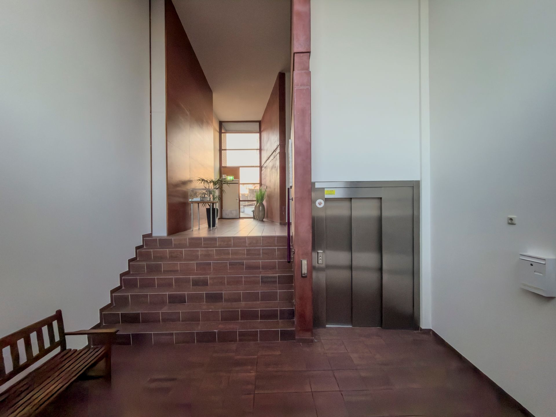 Photo 33 of Argusvlinder 123