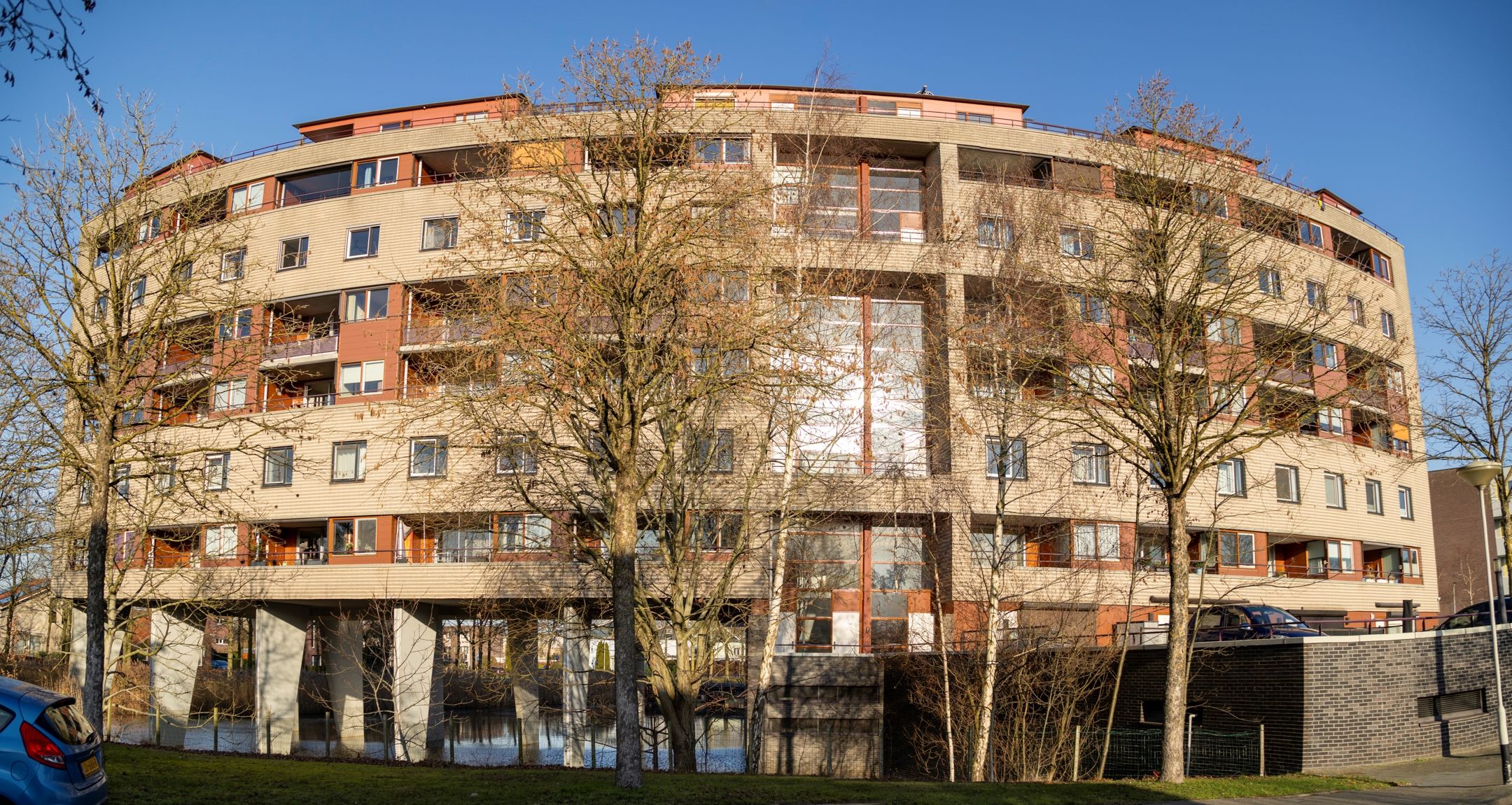 Photo 36 of Argusvlinder 123