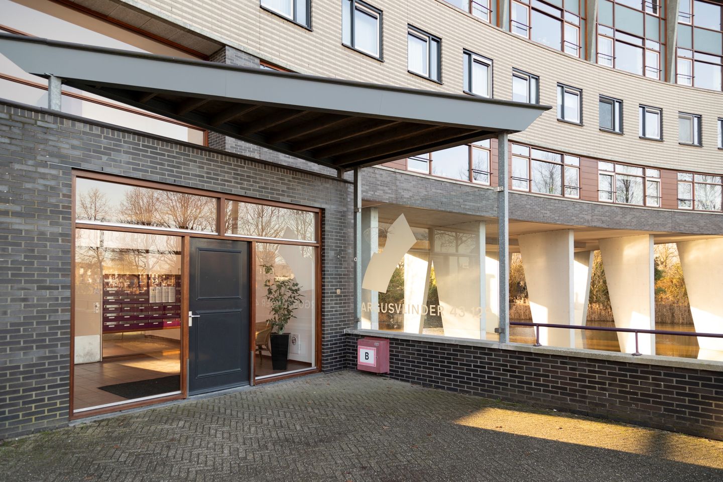 Photo 35 of Argusvlinder 123