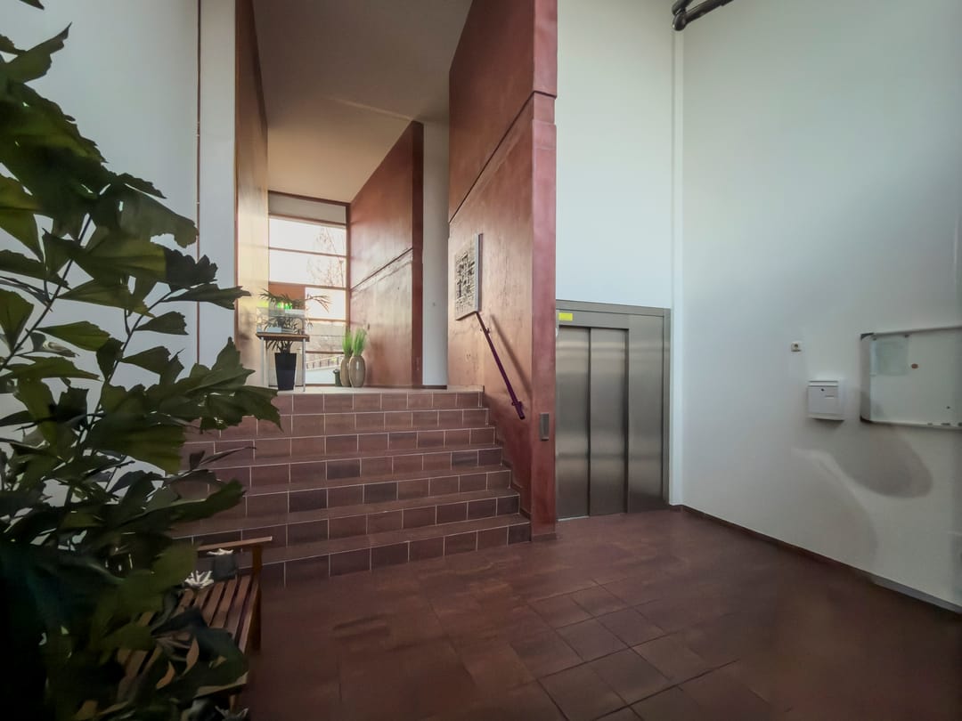 Photo 32 of Argusvlinder 123