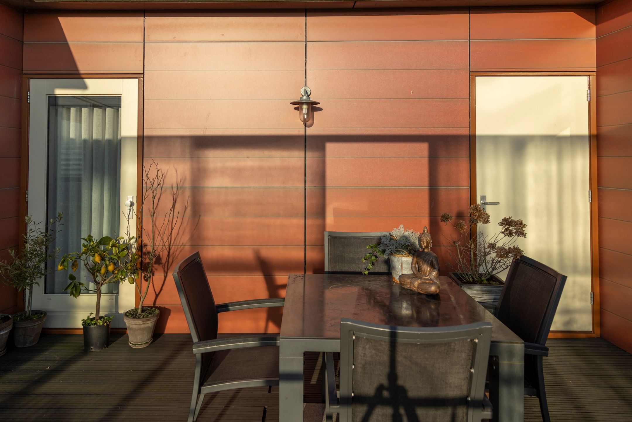 Photo 27 of Argusvlinder 123