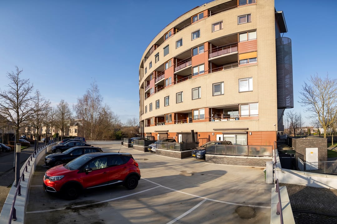 Photo 37 of Argusvlinder 123