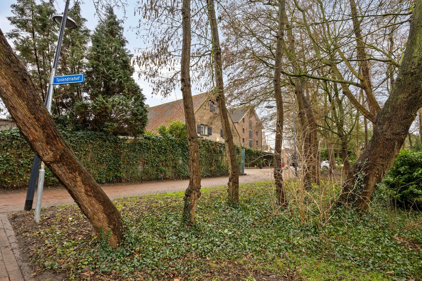 Photo 29 of Taxandriahof 12