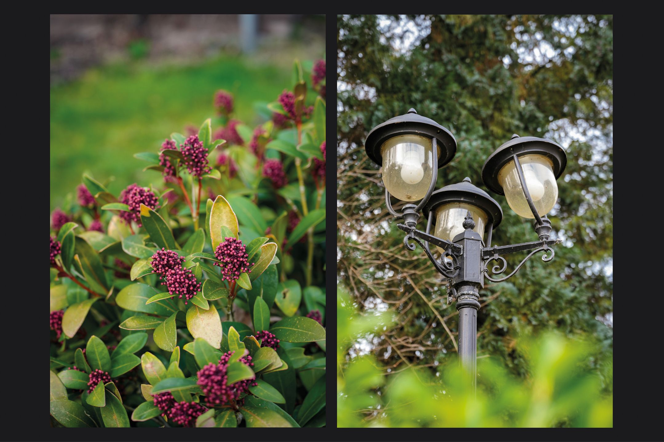 Photo 39 of Weth vd Schansstraat 18