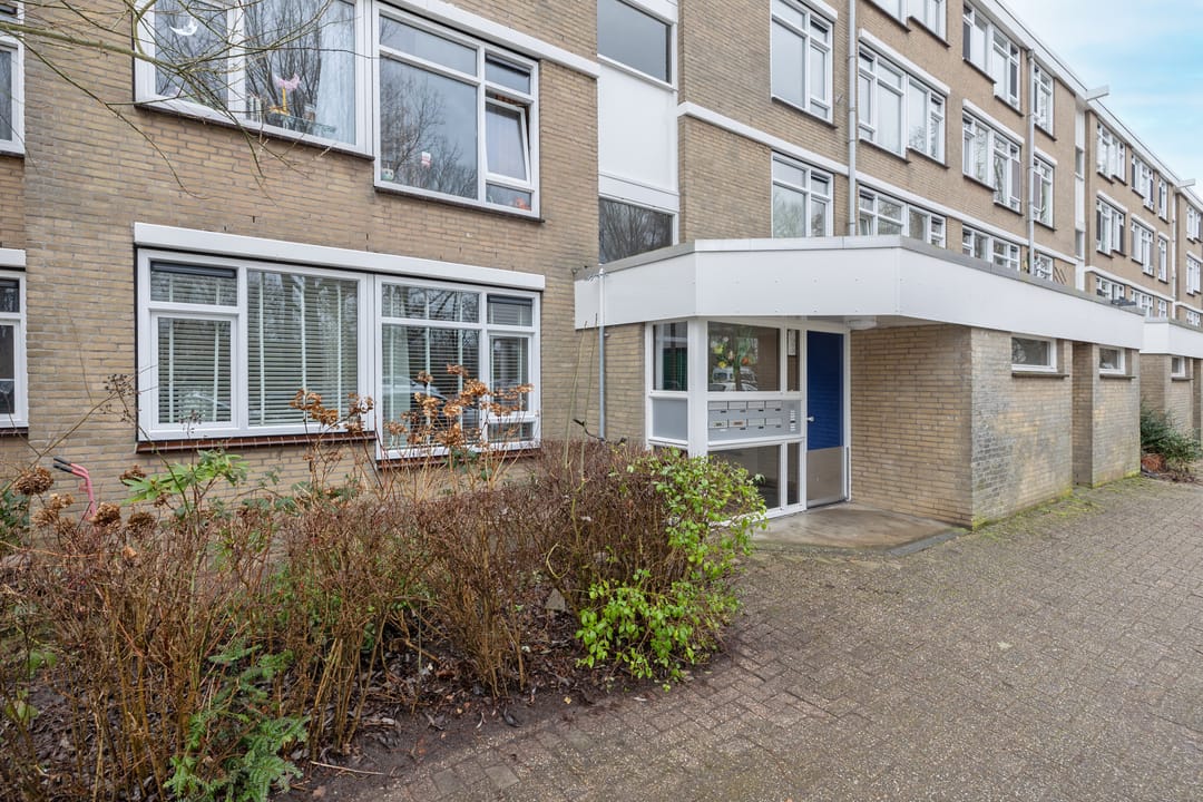 Foto 7 van Achtersteven 17