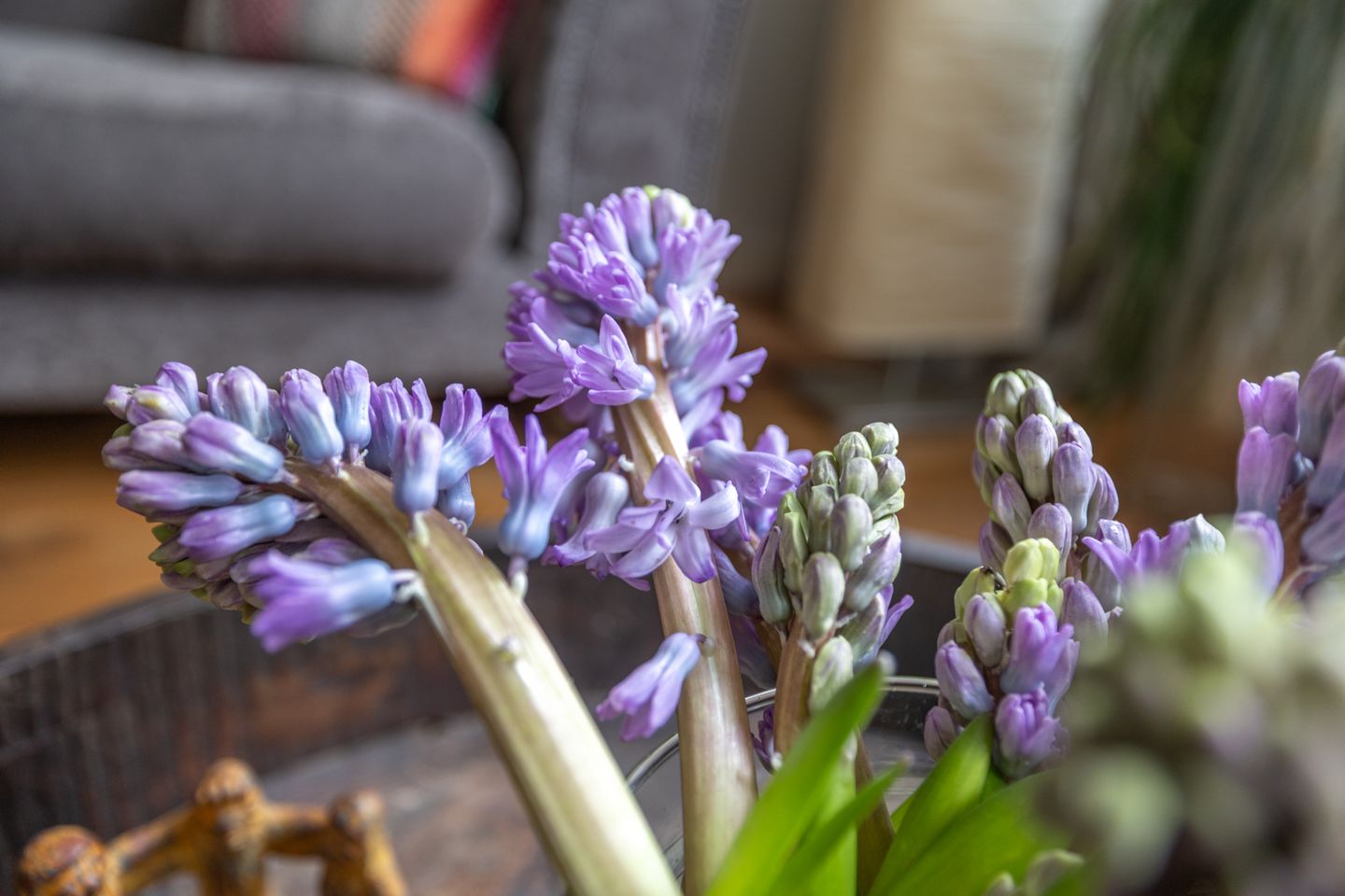 Foto 19 van Achtersteven 17