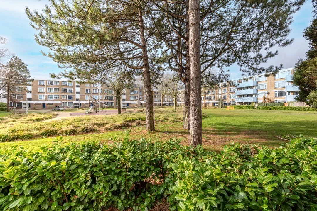 Foto 38 van Achtersteven 17