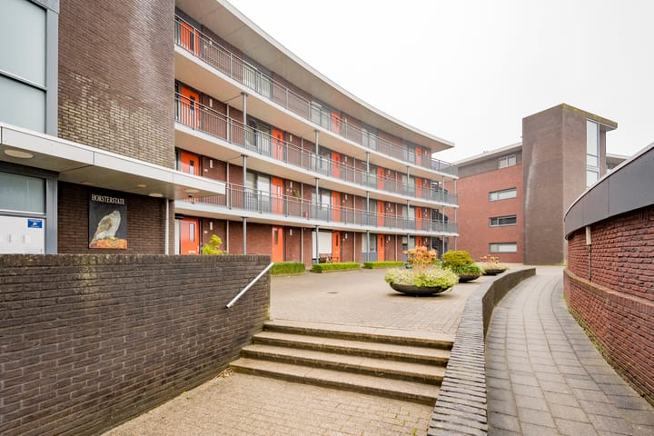 Photo 3 of Koraal 126