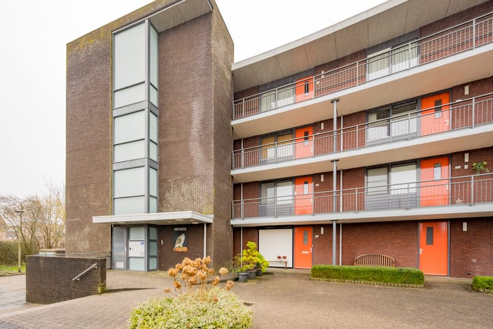 Photo 4 of Koraal 126