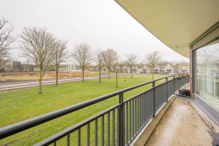 Foto 12 van Koraal 126