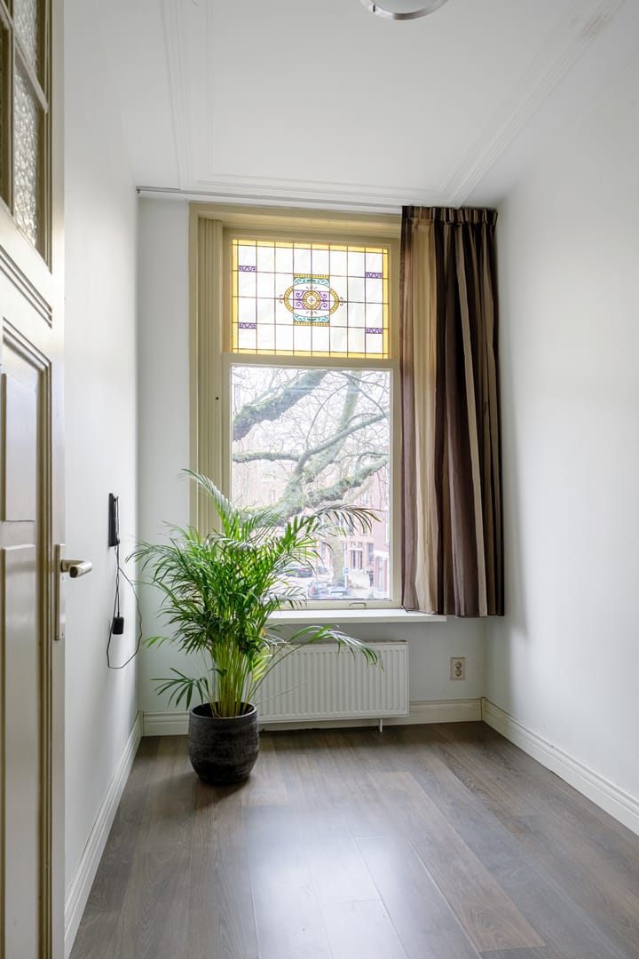 Foto 31 van Burgemeester Meineszlaan 38-A01