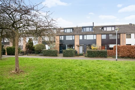 Goudriaanstraat thumbnail