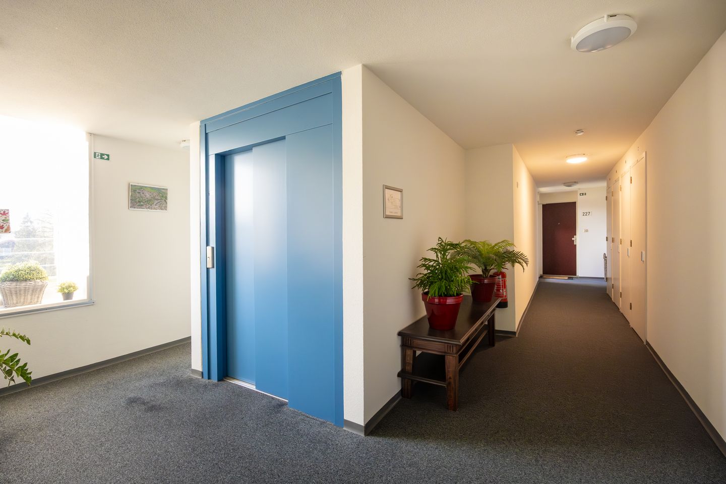 Foto 5 van Rijsenborch 233