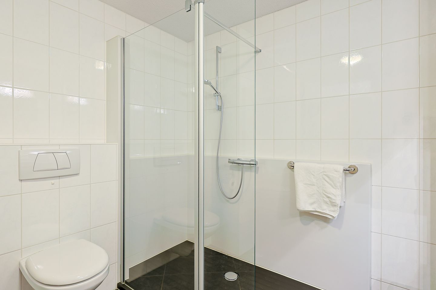 Foto 34 van Rijsenborch 233