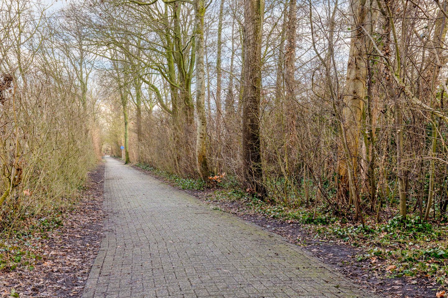 Foto 35 van Wilhelminalaan 34