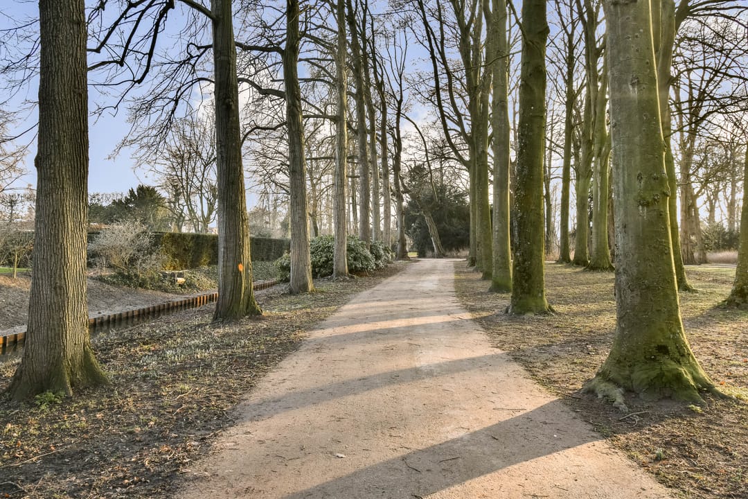 Foto 22 van Gorterplaats 16