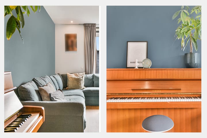 Photo 3 of Baak van Petten 81