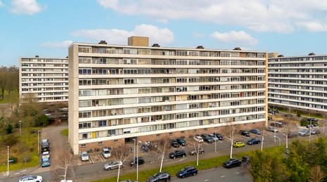 Rubicondreef thumbnail