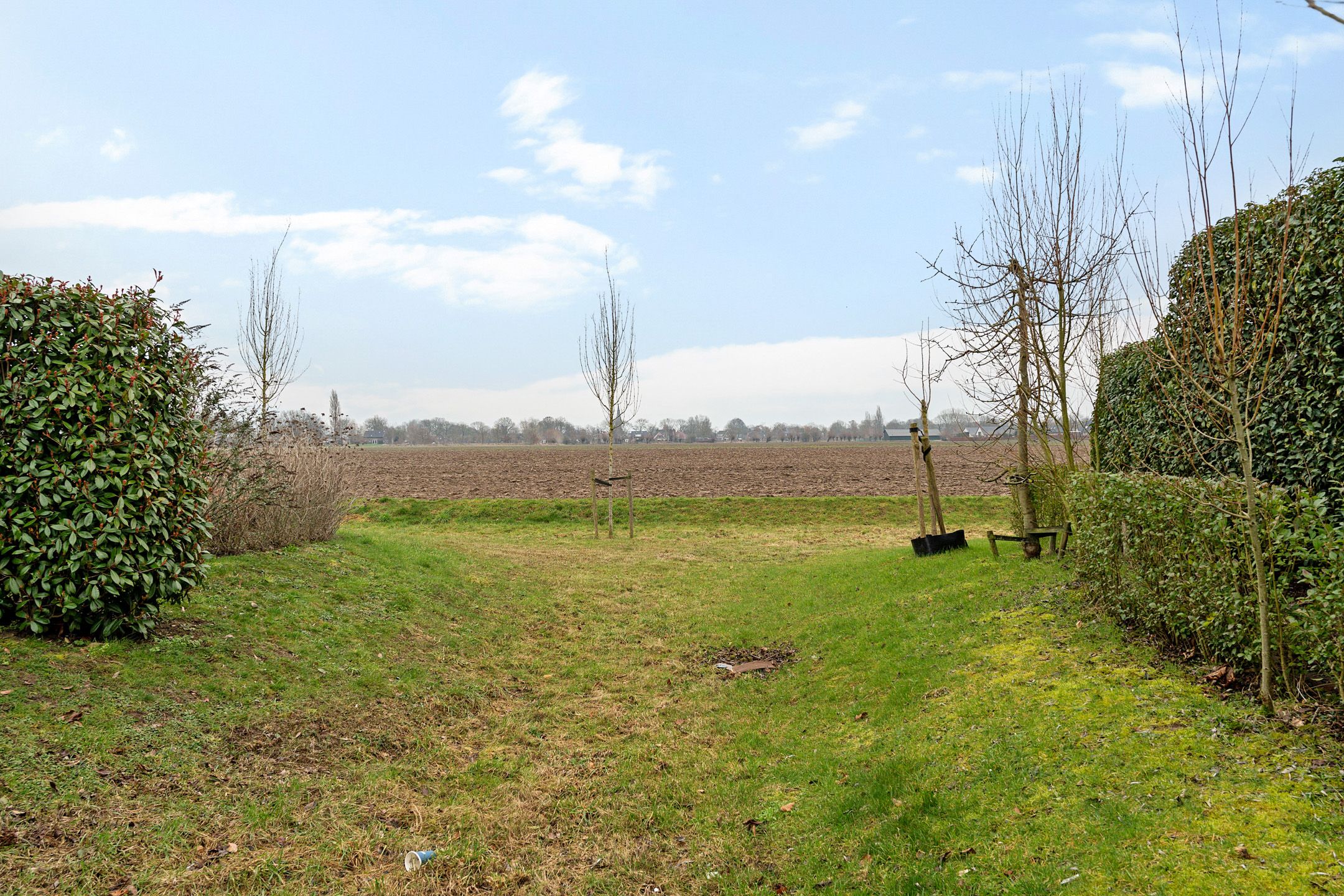 Foto 42 van Goudreinette 9