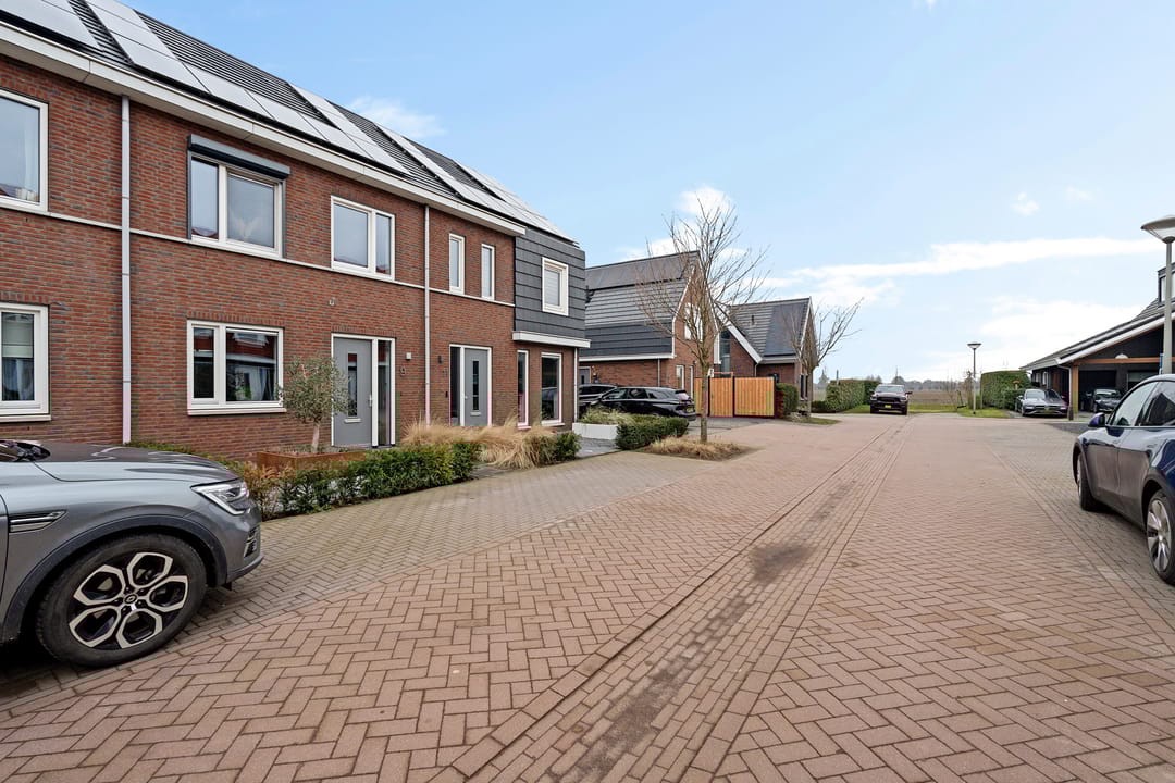 Foto 43 van Goudreinette 9