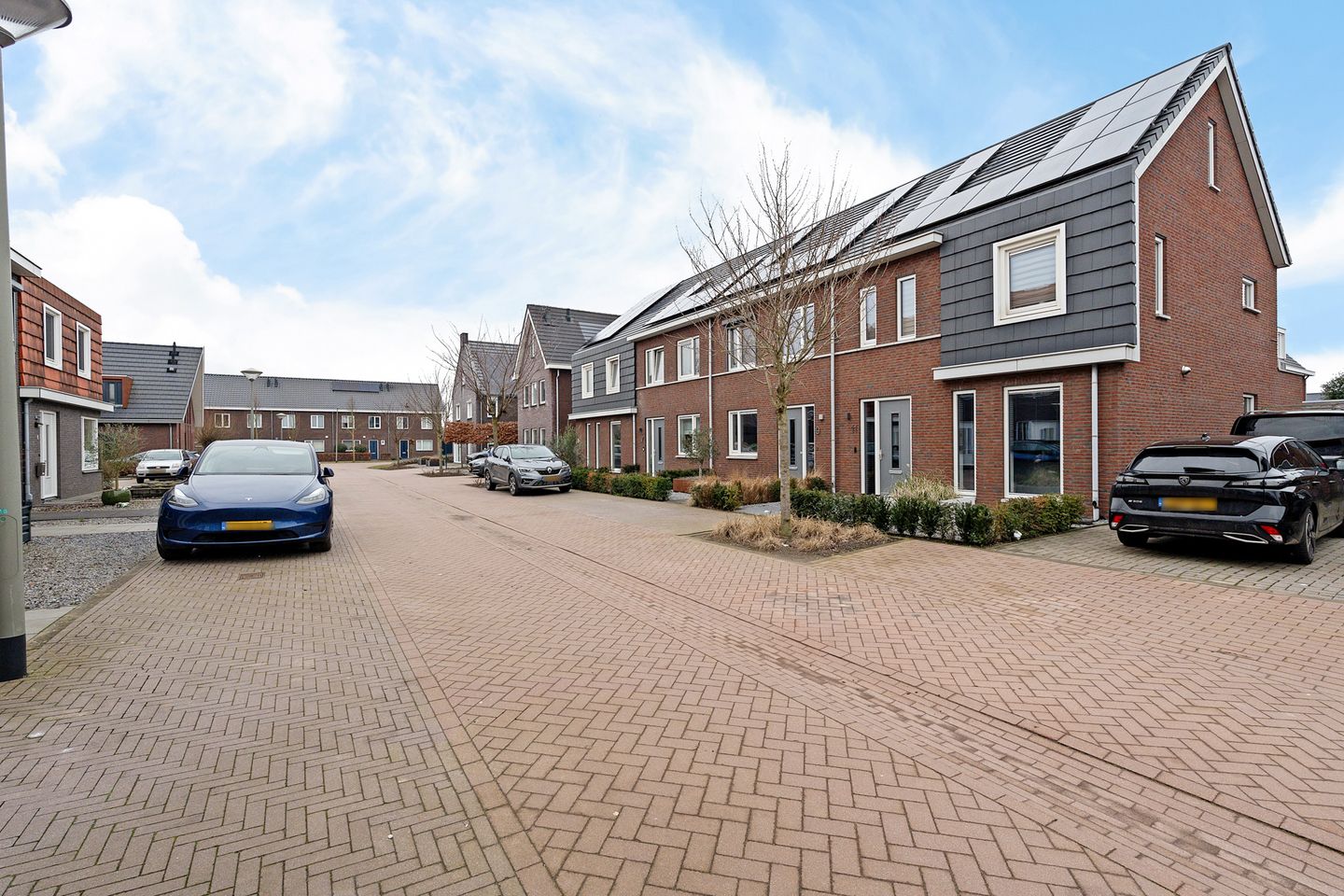 Foto 44 van Goudreinette 9