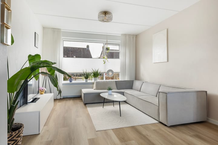 Photo 3 of Aysmastins 21