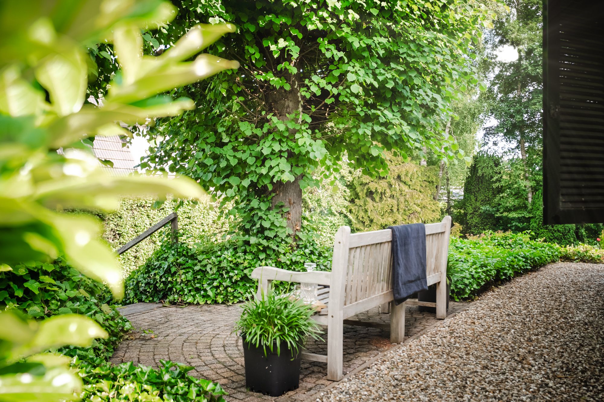 Photo 36 of Rondeweg 30