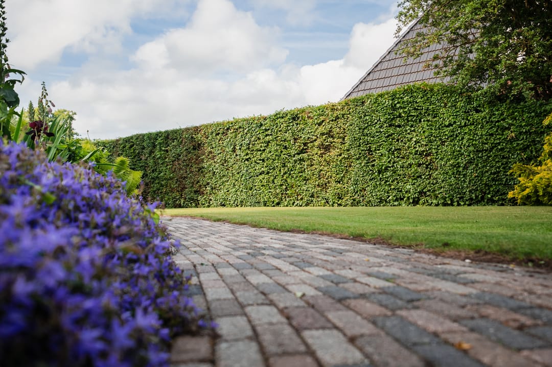 Photo 38 of Rondeweg 30