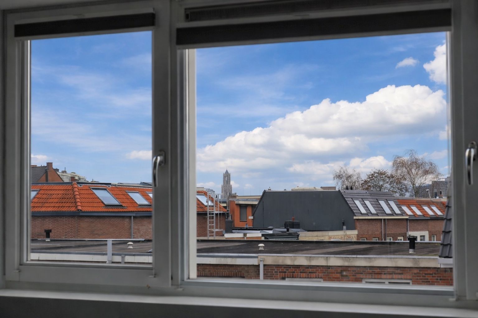 Foto 42 van Korenbloemstraat 12