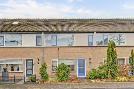 undefined main image